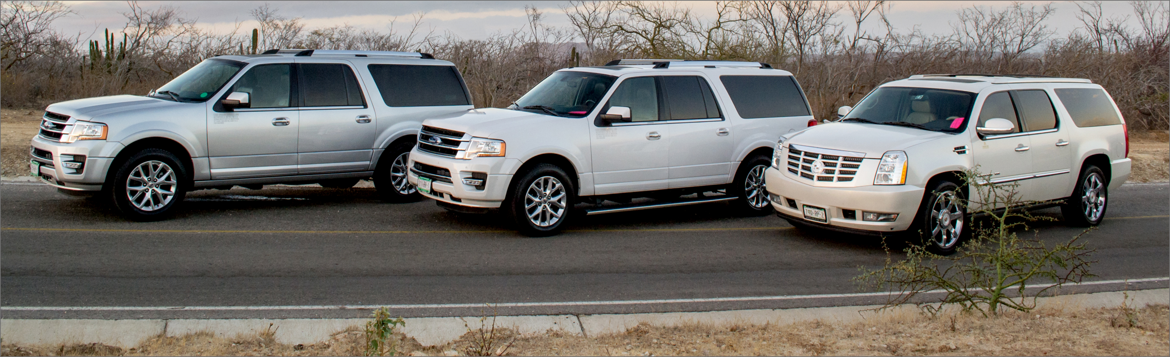 Scenic view of cars for transport